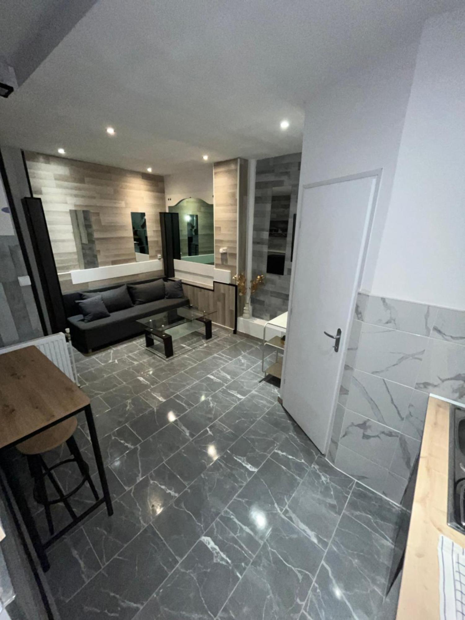 Appartement Moderne Centre Ville De Dijon Eksteriør bilde