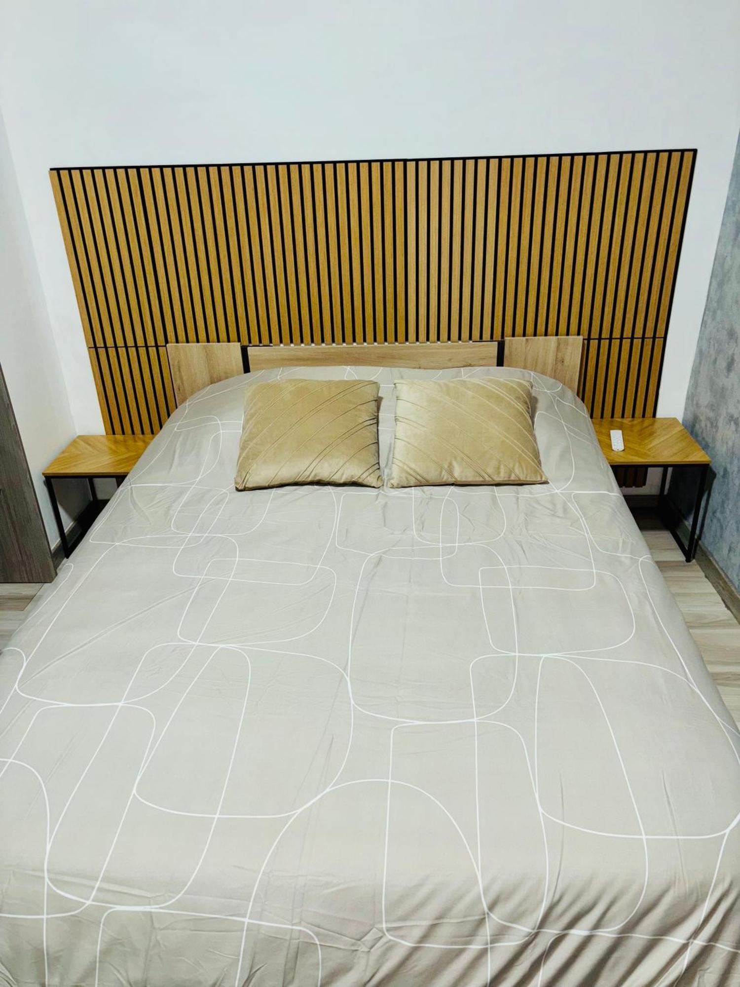 Appartement Moderne Centre Ville De Dijon Eksteriør bilde