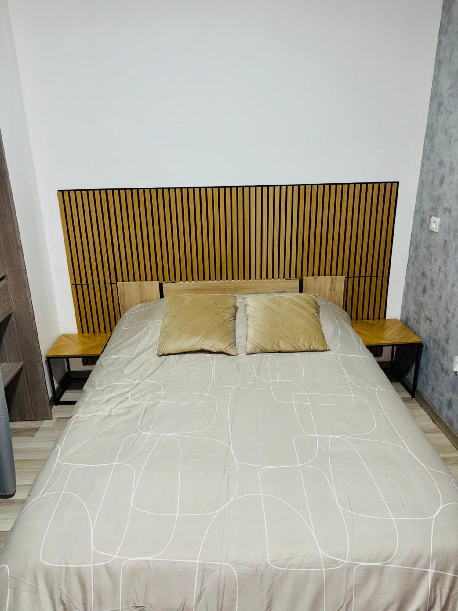 Appartement Moderne Centre Ville De Dijon Eksteriør bilde